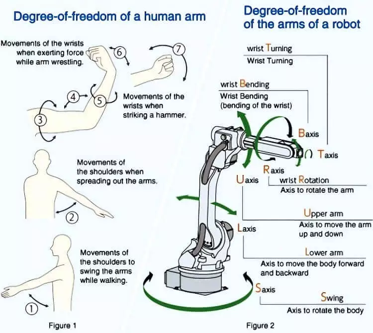 degree of freedom of human and robot arm